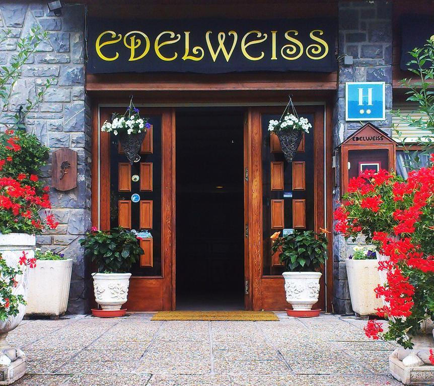 Edelweiss