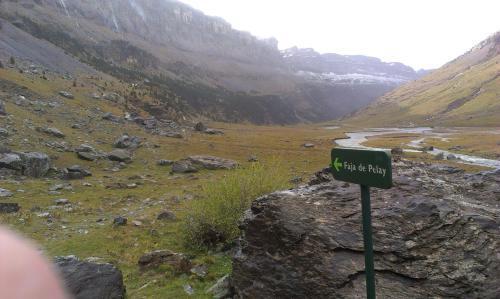Edelweiss 2*
